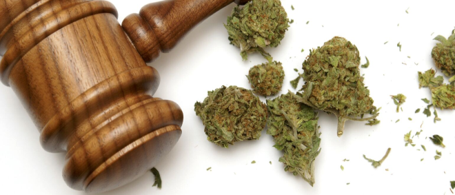 cannabis gavel